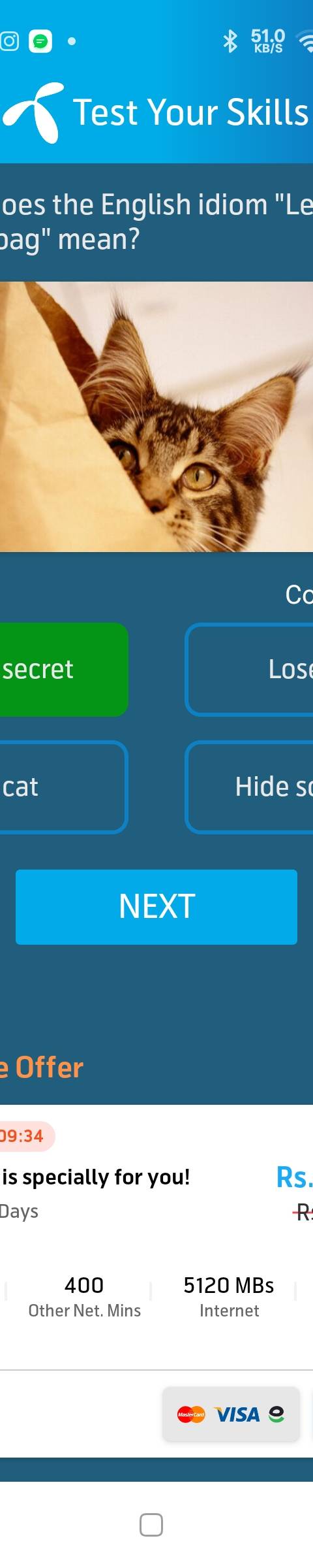 Telenor Quiz Question 2 – What does the English idiom "Let the cat out of the bag" mean? – Correct Answer: Reveal a secret