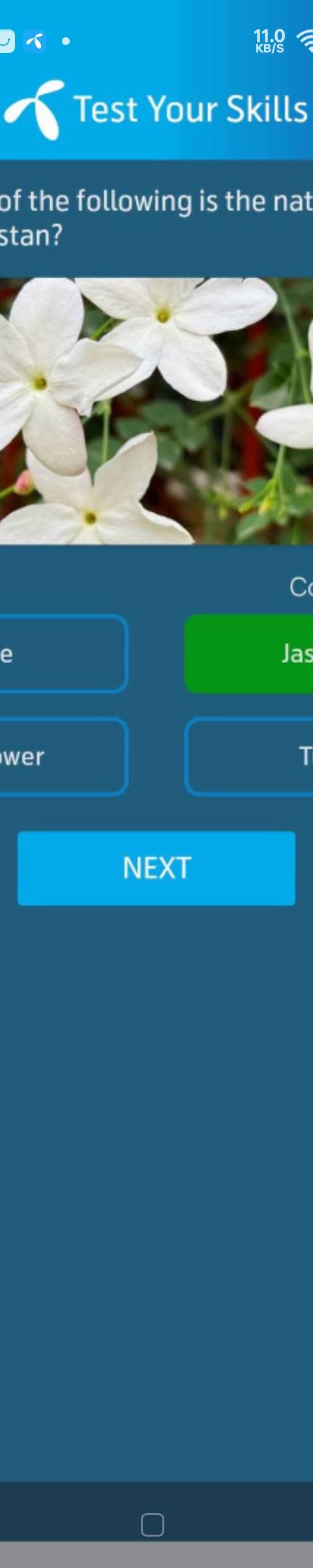 Telenor Quiz Question 4 – Which of the following is the national flower of Pakistan? – Correct Answer: Jasmine